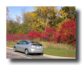 Prius_FallColors_124