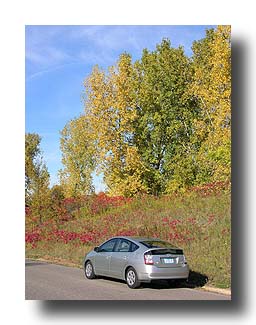Prius_FallColors_125