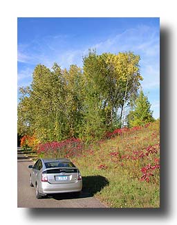 Prius_FallColors_126