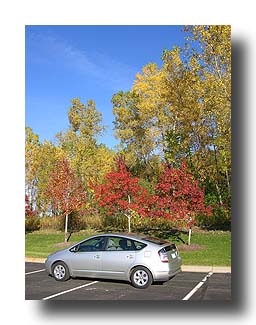 Prius_FallColors_129