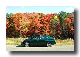 Prius_FallColors_13
