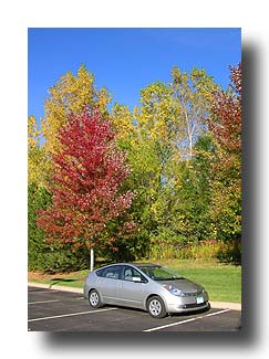 Prius_FallColors_131
