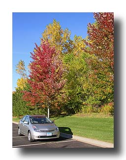 Prius_FallColors_132