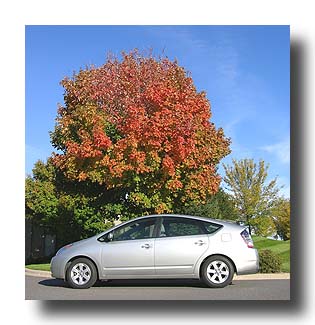 Prius_FallColors_135