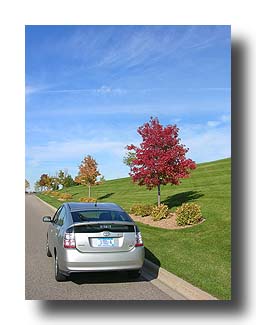 Prius_FallColors_136