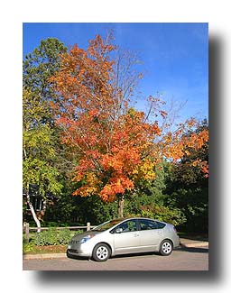 Prius_FallColors_137