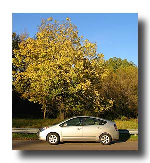 Prius_FallColors_139
