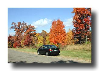 Prius_FallColors_14