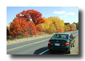 Prius_FallColors_15