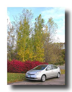 Prius_FallColors_152