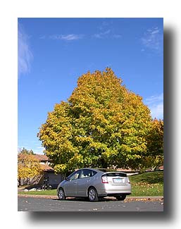 Prius_FallColors_154