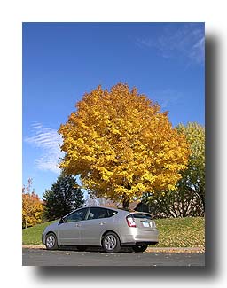 Prius_FallColors_156