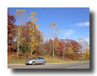 Prius_FallColors_159