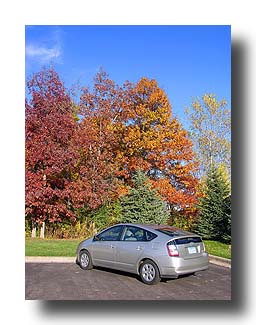 Prius_FallColors_163