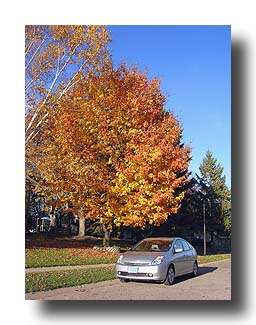 Prius_FallColors_167
