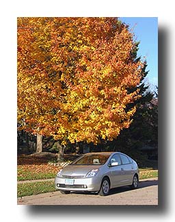 Prius_FallColors_168