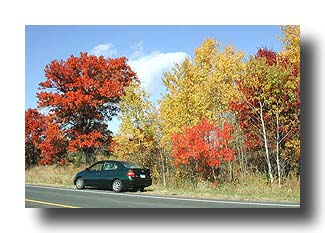 Prius_FallColors_18