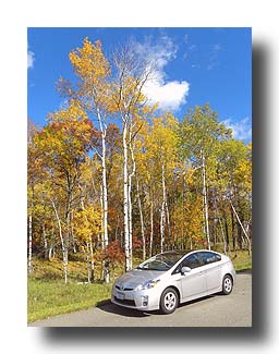 Prius_FallColors_185