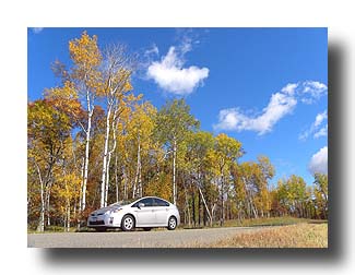 Prius_FallColors_186