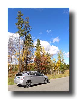 Prius_FallColors_187