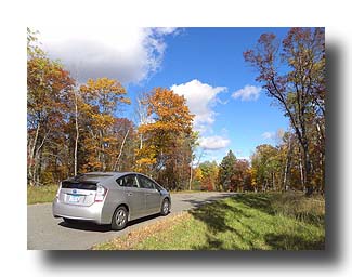 Prius_FallColors_189