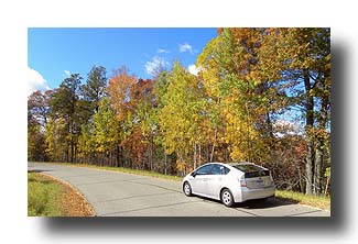 Prius_FallColors_190