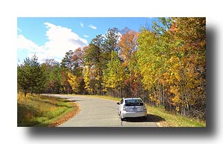Prius_FallColors_191