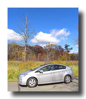Prius_FallColors_193