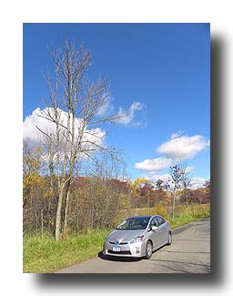 Prius_FallColors_196