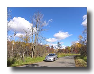 Prius_FallColors_197