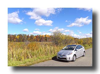 Prius_FallColors_199