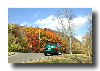 Prius_FallColors_20