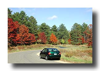 Prius_FallColors_21