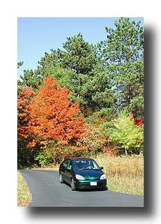 Prius_FallColors_22