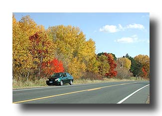 Prius_FallColors_23