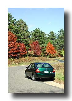 Prius_FallColors_24