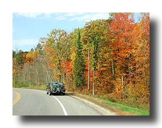 Prius_FallColors_28