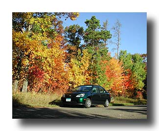 Prius_FallColors_40