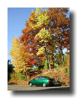 Prius_FallColors_41