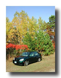 Prius_FallColors_42