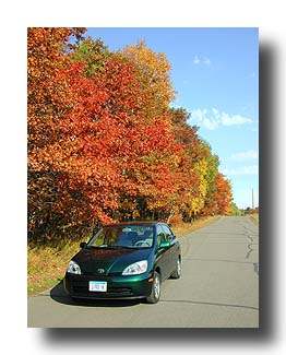 Prius_FallColors_44