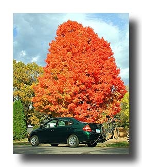 Prius_FallColors_46