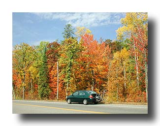 Prius_FallColors_47
