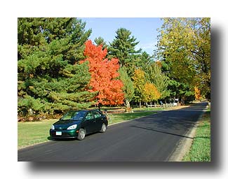Prius_FallColors_48