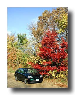 Prius_FallColors_49