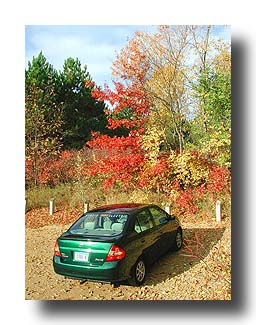 Prius_FallColors_52