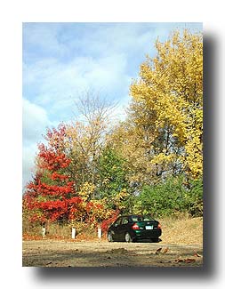Prius_FallColors_53