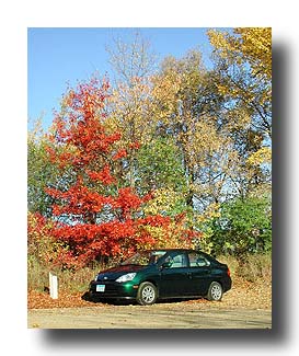 Prius_FallColors_54