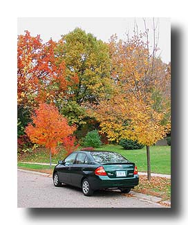 Prius_FallColors_58