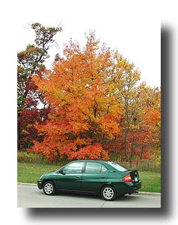 Prius_FallColors_59